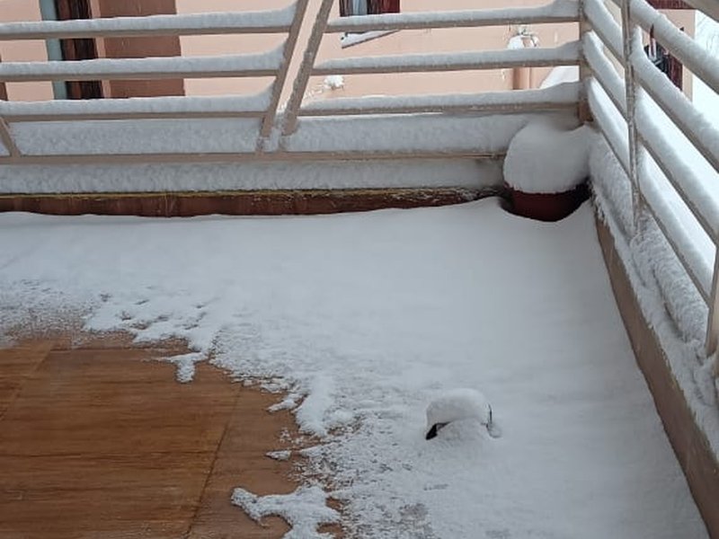 Snow blanket