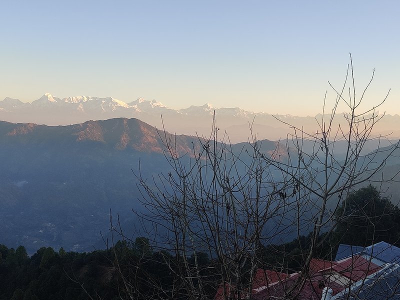 Morning view